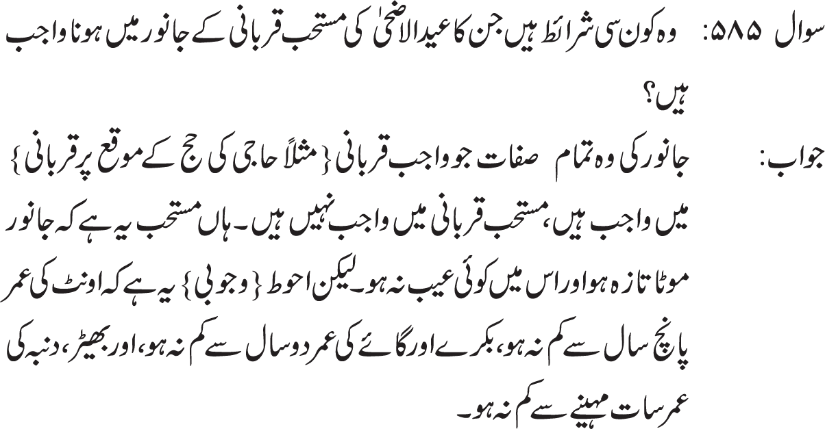 Mustahabb qurbani k janwar mai wo shrait lazim nhi hain jo hajj ki wajib qurbani mai lazim hain, lehaza kana, langra, kaan kta, seeng toota, khassi aur dublay janwar ki qurbani jaiz hai agar chah afzal o ahwat ye hai k salim aur mota ho. (Ref : ayatollah sistani d.b. http://sistani.org/index.php?p=831716&id=6&pid=3555  )